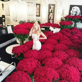 Paradise Of Romantic Red Petals