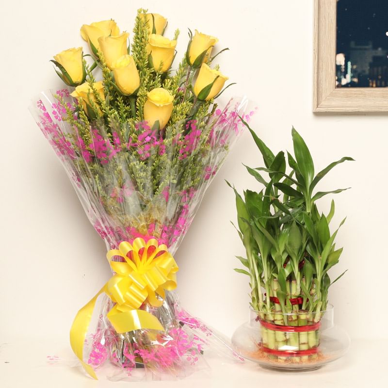 Rose Bamboo Confluence - Good Luck Indoors in Potpuri Vase with Bunch of 10 Yellow Roses
