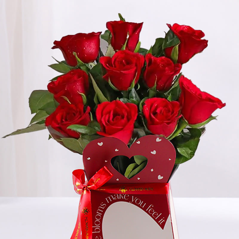 Rose Day Romance in Red