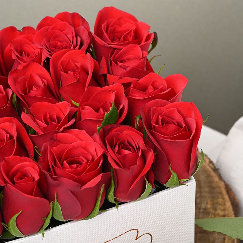 Zoom View of Rose For A Rose Box