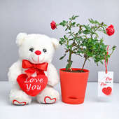 Rose Of Love N Teddy