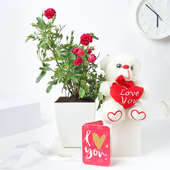 Buy Rose Plant Online