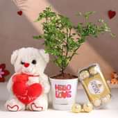 Rose Plant In Hello Love Pot Sweet Combo