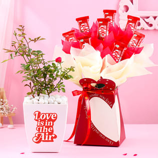 Rose Plant In Love You Pot With Kitkat Bouquet
