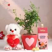 Rose Plant N Cuddly Hamper