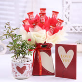 Rose Plant With Love You Card N Chocolate Bouquet