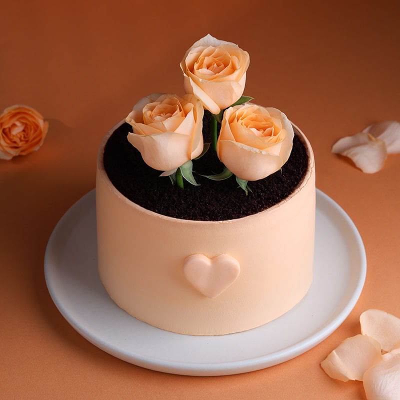 Rose Topped Chocolate Cake