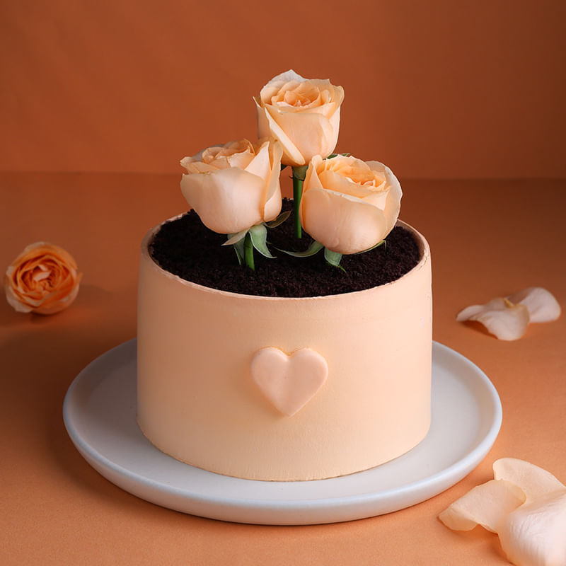 Product Image Video