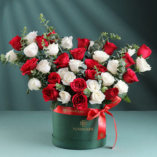 Roses Wrapped In Warmth