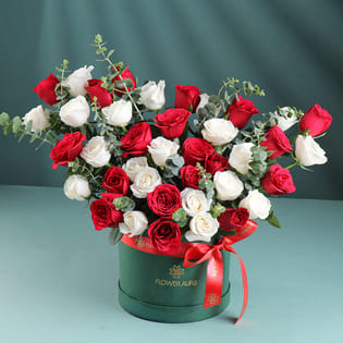 Roses Wrapped In Warmth