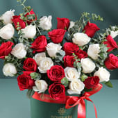 Roses Wrapped In Warmth