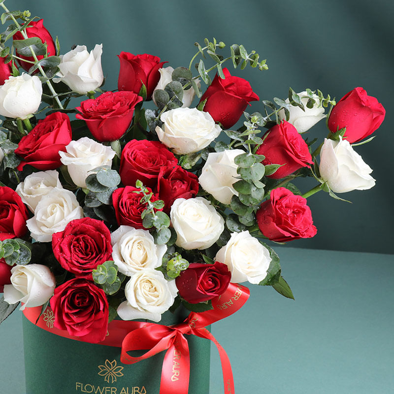 Roses Wrapped In Warmth