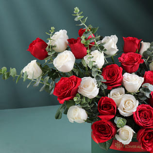 Roses Wrapped In Warmth