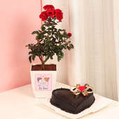 Rosy Heart Red Rose Plant and Cake Combo