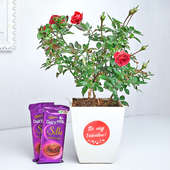 Rosy affection assorted set - Special Valentine gift