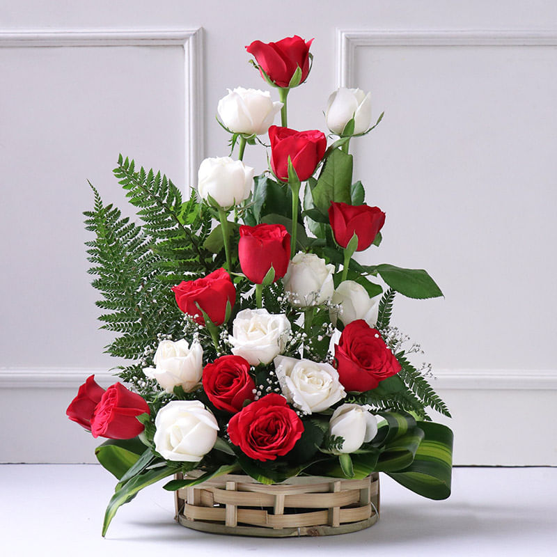 Harmony of Crimson N Ivory Roses