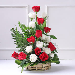 Christmas flowers close view