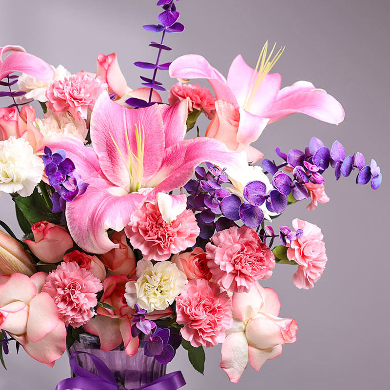 Royal Pink Blooms