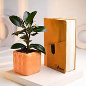 Rubber Plant In Cube Pot N Personalised Diary
