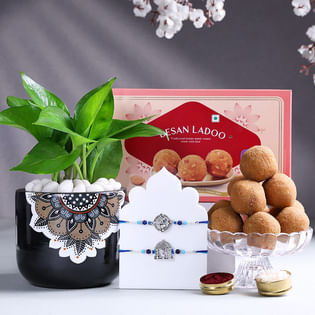 Sacred Rakhi Duo With Money Plant N Besan Ladoos