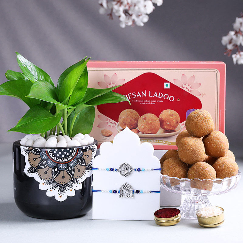 Product Image Video