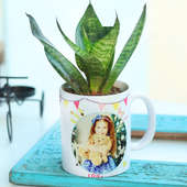 Snake Plant in Personalised Birthday Vase