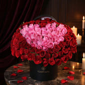 Scarlet Heart Of Blushing Roses