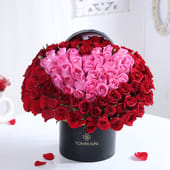 Scarlet Heart Of Blushing Roses