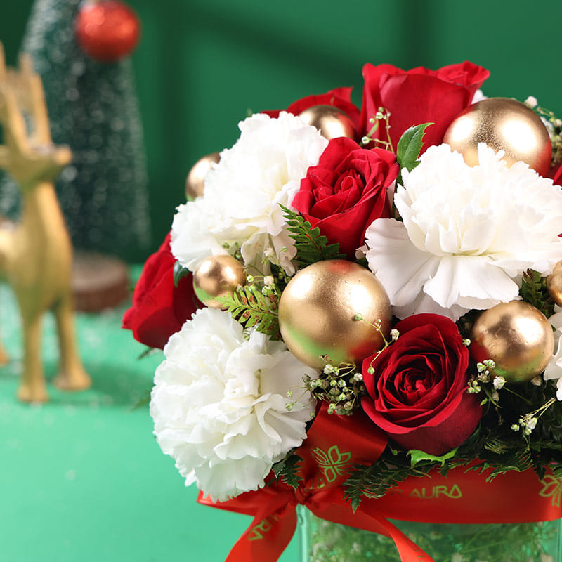 Season’S Grace Red Roses With White Carnations