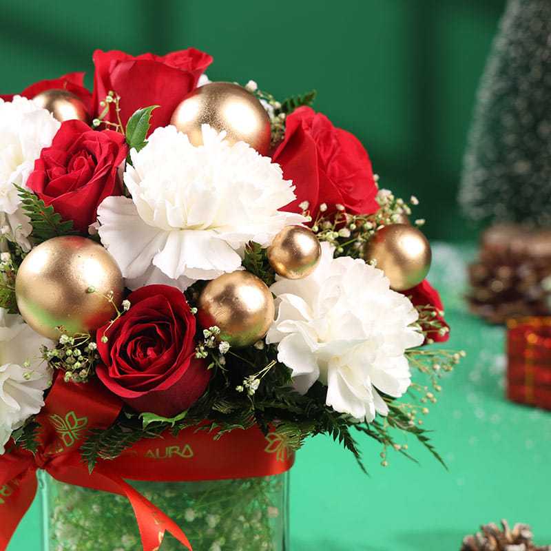 Season’S Grace Red Roses With White Carnations
