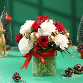 Season’S Grace Red Roses With White Carnations