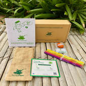 Seeding Out Stationery Box