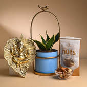 Sansevieria In Bird Pot With Mix Nuts N Ganesha Wall Decor