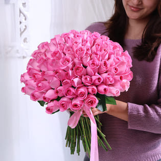 Serenade Of Love In Pink Roses