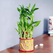 Serendipitous Bamboo - Good Luck Plant Indoors with OM Printed Round Jute Glass Vase