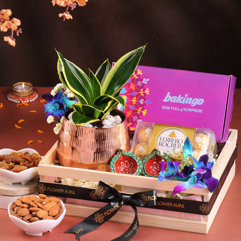 Product Image Video