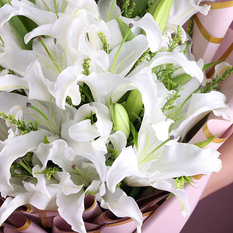Product Image Video