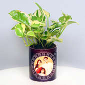 Serene Pothos Plant - Foliage Plant Indoors in Mug Personalized Vase