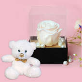 Serene Rosa Teddy Combo - 12 Inch Teddy with Forever Light Pink Rose