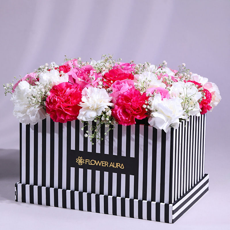 Product Image Video
