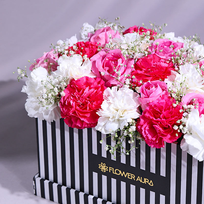 Product Image Video