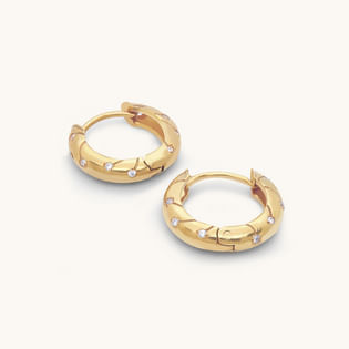 Shimmering Twisted Hoop Earrings