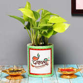 Shubh Money Plant - Good Luck Plant Indoors in Mug Personalized Vase Set of 2 Diyas