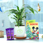 Silky Christmas Combo - Air Purifying Plant Indoors in Chatura Vase with Christmas Greeting Card and 2 Dairy Milk Silk