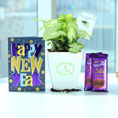 Silky Green Wishes - Foliage Plant Indoors in Chatura Vase with New Year Greeting Card and 2 Dairy Milk Silk