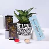 Silver Blue Rakhi With Snake Plant N Chocolates