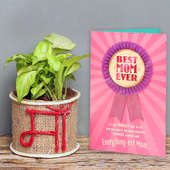 Syngonium Plant and a Card Combo for Mom