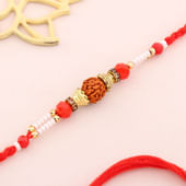 Single Rudraksha Divine Rakhi