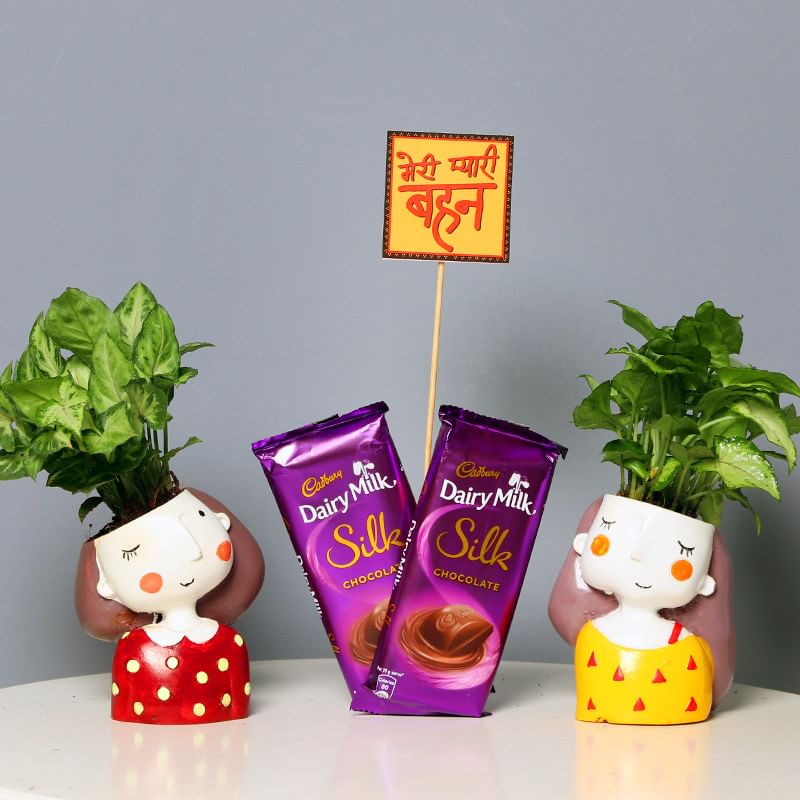 Foliage Plant with 2 Cute Girl Vases and Two Dairy Milk Silks