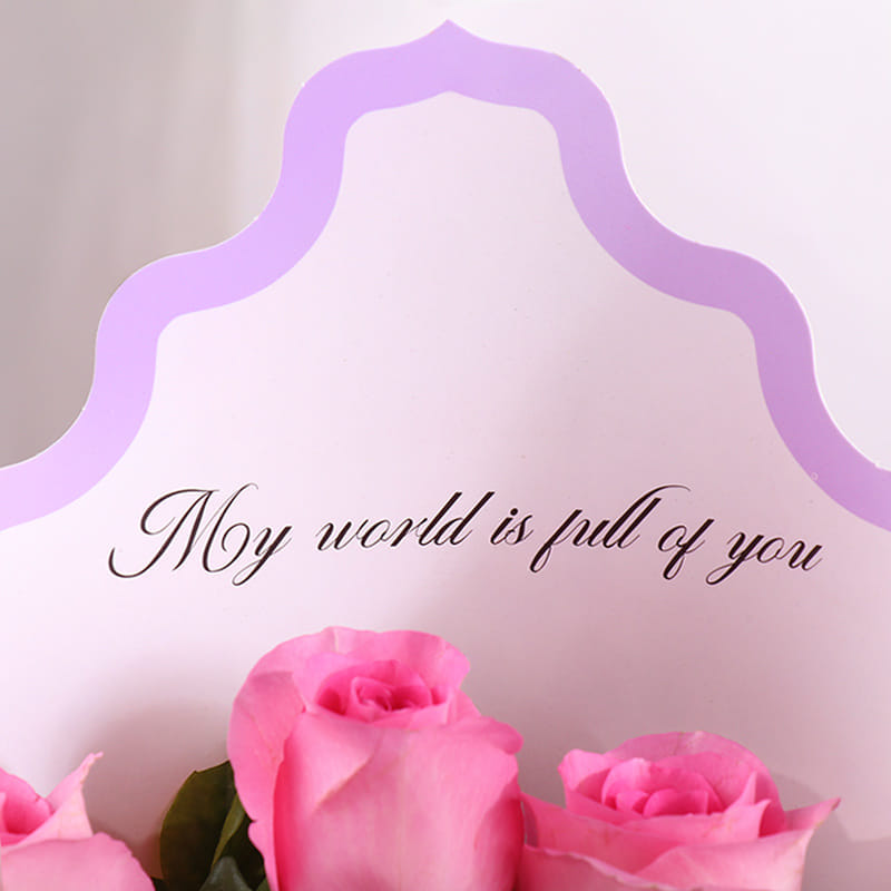 Product Image Video